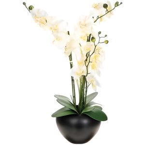 VASE - SOLIFLORE Composition de fleurs artificielles Orchidée - H. 