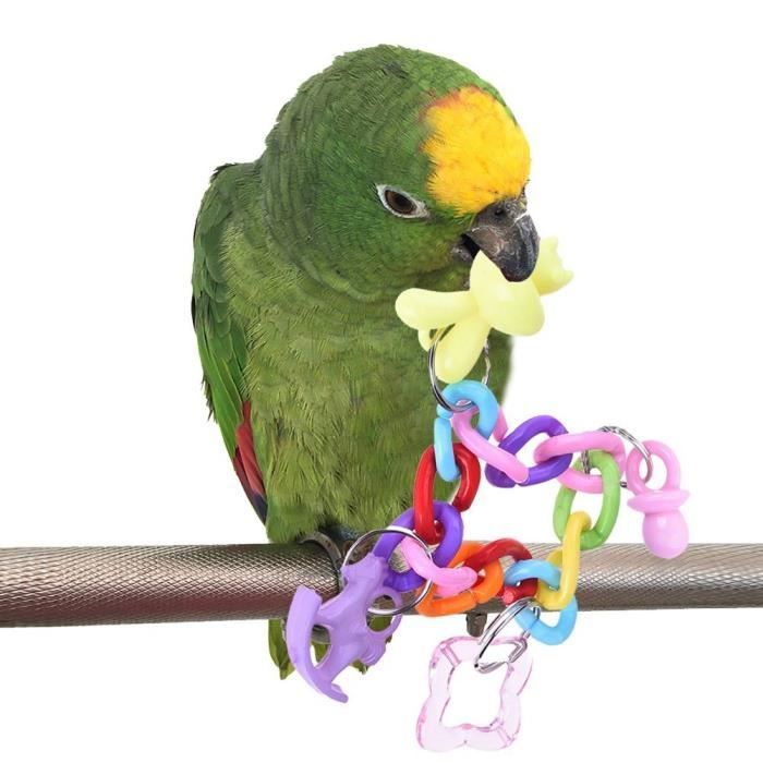 coloré pour animal domestique Oiseau Perroquet perruche calopsitte élégante Bracelet à m&acirccher Bite jouet Ca@Z6432