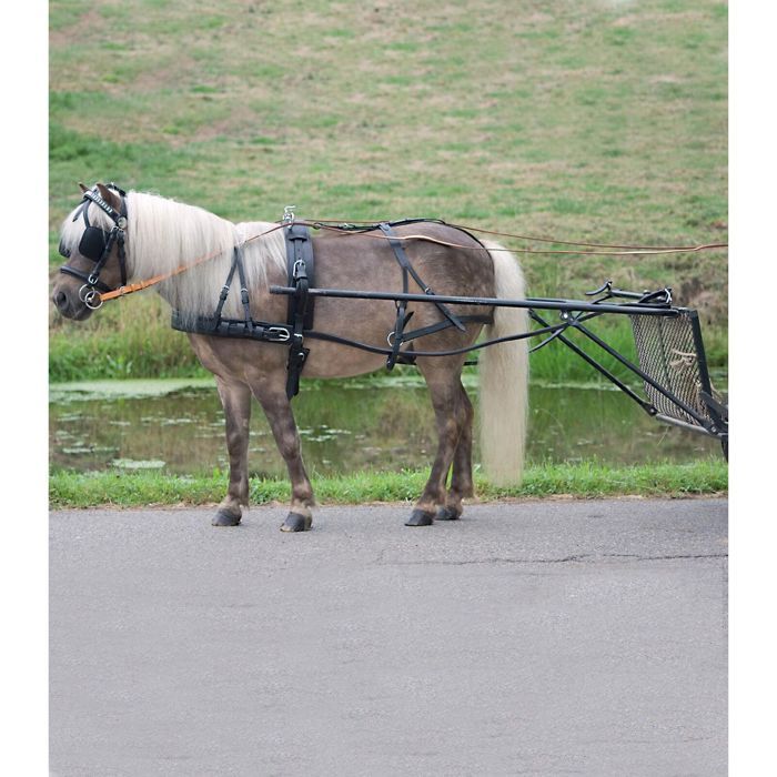 AMAZING HORSE STUFF Harnais de conduite en nylon verni noir pour chariot simple avec passepoils/bordure blanche (complet, cob, poney, shetland et mini) (complet