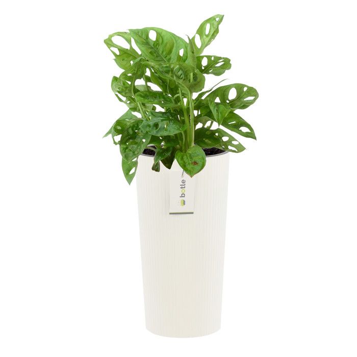 Lot De 10 Soucoupes Carrées En Résine Noire Pour Pots De Fleurs - 15x15 Cm - Résistantes à La Chaleur - 6