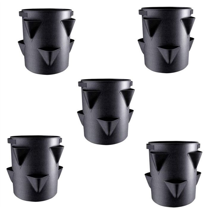 Sacs de culture de fraises de 5 gallons, pots de plantes d'intérieur et ...