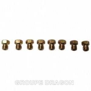 Sachet injecteurs gaz butane pour table de cuisson ARISTON PH640MS PH631MS Pièce d'origine constructeur