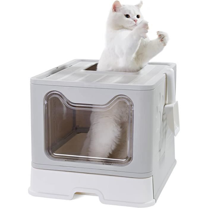 Tasse De Café 600ml En Céramique Pour Chat Avec Couvercle, Grande Capacité, Tasses Pour Animaux, Boissons Créatives, Tasses à Thé, Cadeaux De Fantaisie, Tasse à Lait (C