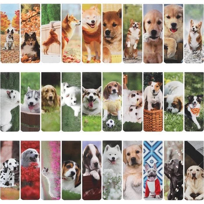 MWOOT 30 Pièces Signets Magnétiques,En Forme De Flèche