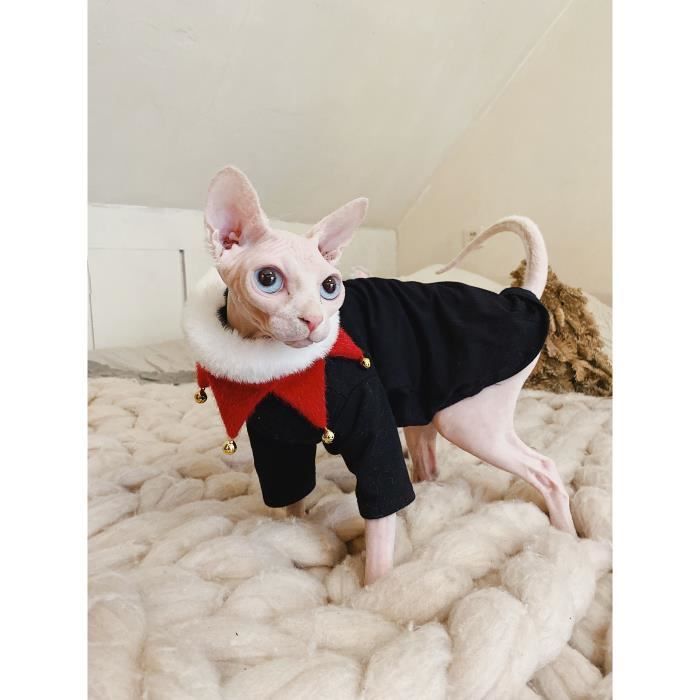 Manteau pour chat sphynx best sale