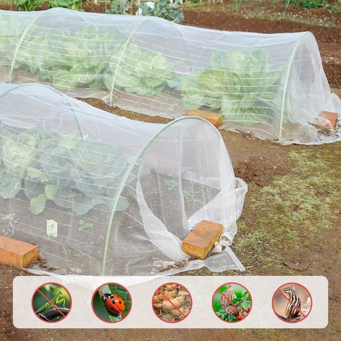 Filet Anti Insecte2.5x6mVoile Anti Insecte Potager Filet de Protection ...