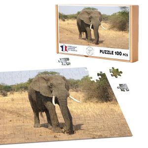 FH Trou d'arrosage sur la Savane Africaine Puzzle Cadre avec pièces 500  pièces[662] - Cdiscount Jeux - Jouets