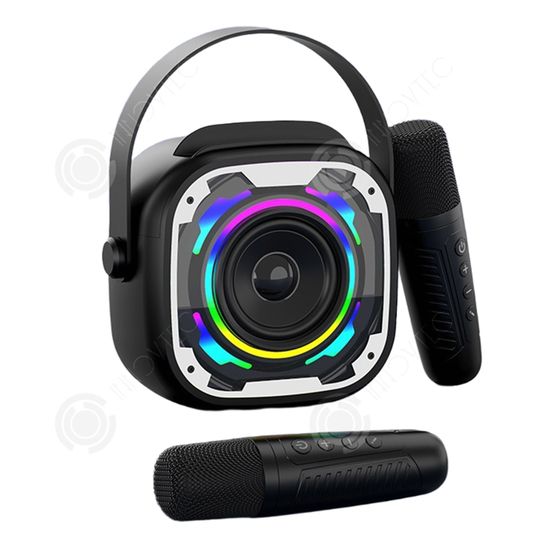 Machine à Karaoké Portable Enfants Adultes - 2 Micros Sans Fil, Lumière, Bluetooth Pour Smartphones (Noir)