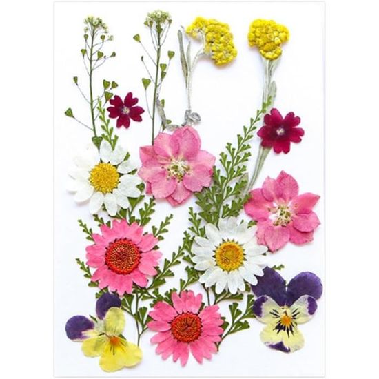 Presse à Fleurs BENECREAT 24x18cm - Kit Bois Avec Papier Et Accessoires Pour Fleurs Séchées