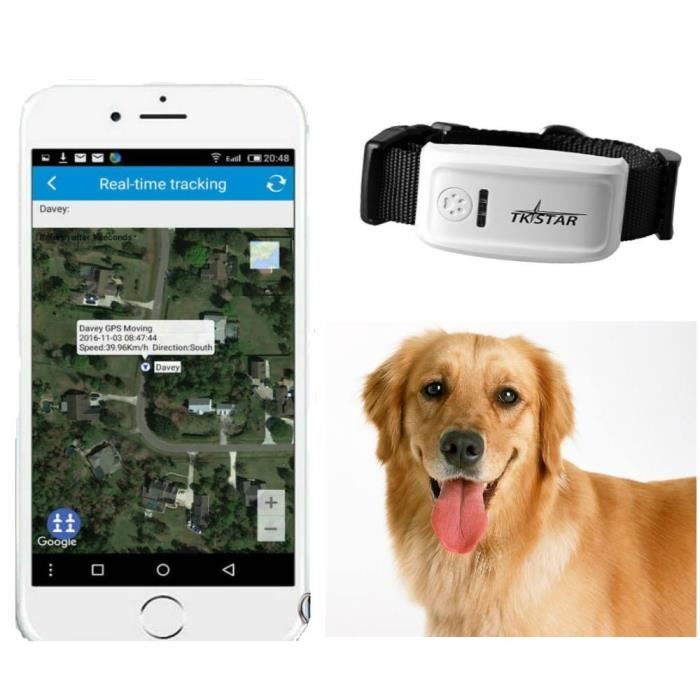 TKSTAR collier GPS pour Chien Traceur Chien avec portée illimitée, Suivi d'activité, Étanche, Léger