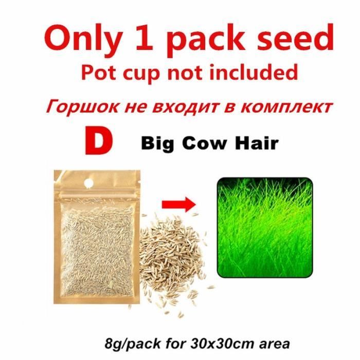 Décoration - aquarium,Pot de plantation d'herbe en verre pour Aquarium, décoration de plante pour Aquarium, mousse - Type Big Cow-S