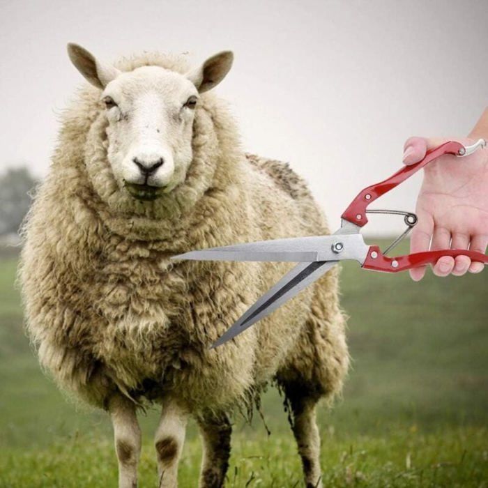 Ciseaux Tonte Mouton Manuel Acier Inox Multifonction Laine Chèvre Rouge