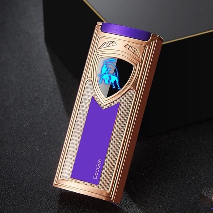 Briquet Plasma Moderne Briquet à Arc électrique Rechargeable USB-C – Coupe-vent, Sans Flamme, Avec Indicateur LED Briquet Cadeau Homme Femme Noël