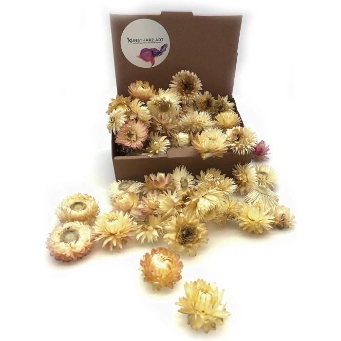 Lot De 50 Fleurs Séchées Gypsophile Violettes – Petites Fleurs Naturelles Délicates 5-8 Cm Pour Bricolage, Résine, Bougies, Bijoux, Nail Art, Décoration Mariage Et Artisanat