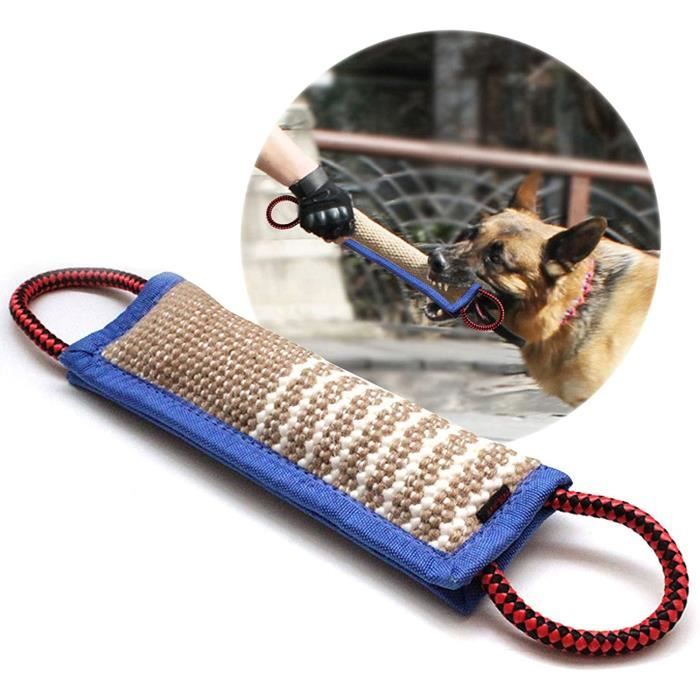 Jouet chien mordant clearance