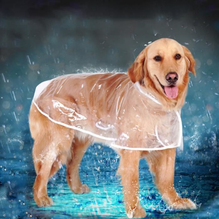 Imperméable pour petit et grand chien transparent