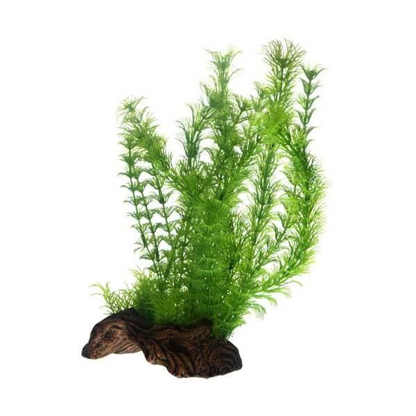 Meilleurs prix pour Hobby Flora Root L 3