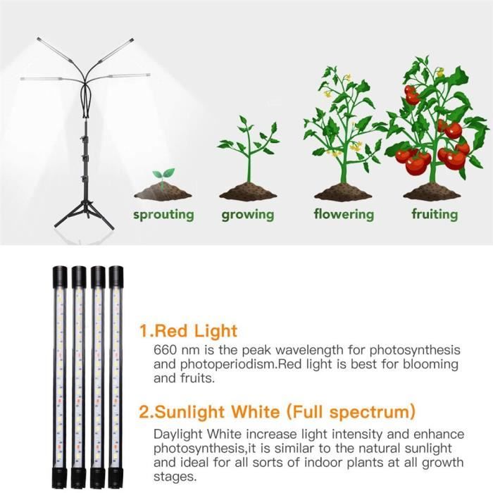 Station serre LED ISL-60025, ampoule pour plantes