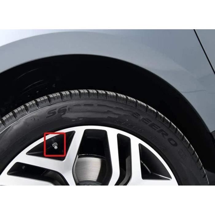 capuchons Anti-poussière pour Valve de pneu de voiture,en alliage de  Zinc,Anti-vol,Style de doigt moyen,tête de mort,pour VW Audi Toyota Honda  BMW Benz - Type Silver-Black Blue