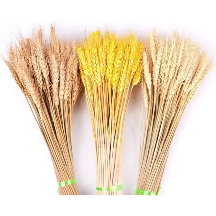 Lot De 100 Tiges De Blé Séchées Naturelles - Environ 55 Cm - Décoration Rustique, Mariage, Centre De Table, Maison