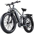 Vélo électrique BURCHDA RX80 - Batterie Lithium 48V 17.5Ah - 26 pouces - 4.0 gros pneu - VTT adulte-0