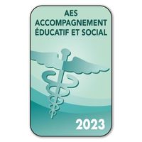 Autocollant Sticker - Vignette Caducée 2023 pour Pare Brise en Vitrophanie - V2 AES - Accompagnement Éducatif et Social 