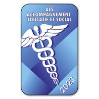 Autocollant Sticker - Vignette Caducée 2023 pour Pare Brise en Vitrophanie - V5 AES - Accompagnement Éducatif et Social 