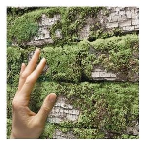 Gratuit Images Papier Peint Trompe L Oeil Briques Anciennes Blanches Moussues le plus cool salutations