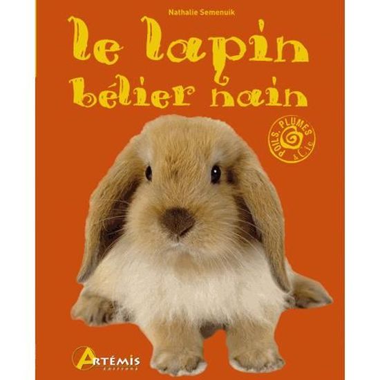 Le Lapin Belier Nain Cdiscount Librairie