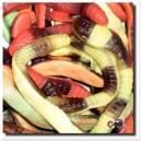 VIDAL Serpents géants x 2 kg