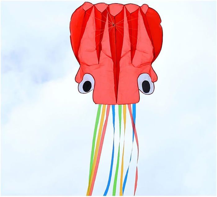 Bobine De Corde Pour Cerf-Volant - 100 Mètres De Fil Blanc, Enrouleur Rouge, Pour Enfants Et Débutants