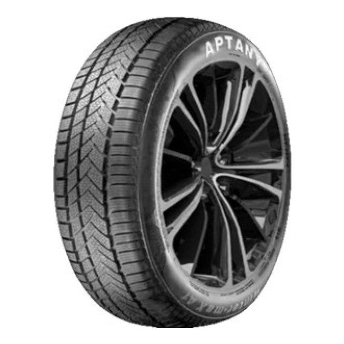 Pneu AUTO Aptany RW211 195/55 R16 87H Hiver