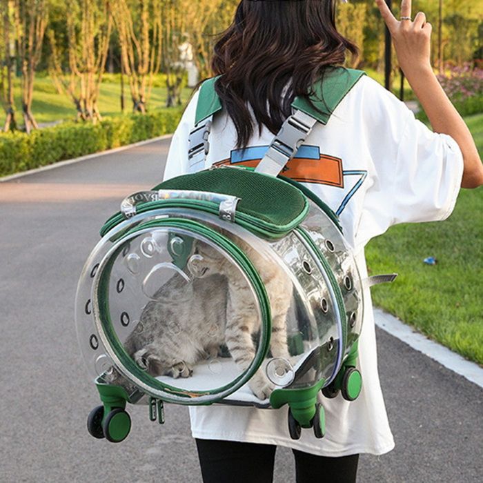 Meilleurs prix pour Poussette pour Chats et Chiens - Fianao - Chat jusquà 5 kg - PC - 43X30X40CM - VERT - transparent confortable