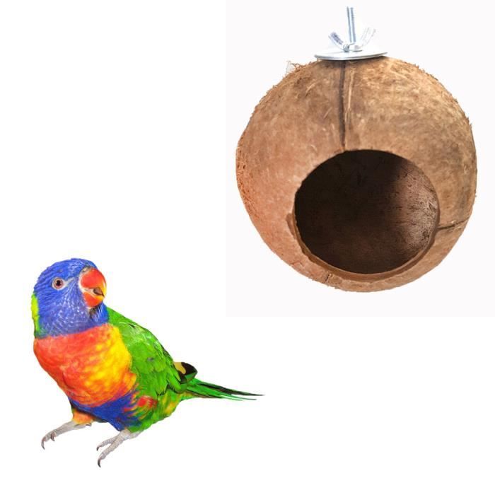 Harnais Animal Naturel De Noix De Coco Nid D Oiseau Maison Hut Cage Feeder Pet Parrot Perruche Toy Ymfa 1785 Cdiscount