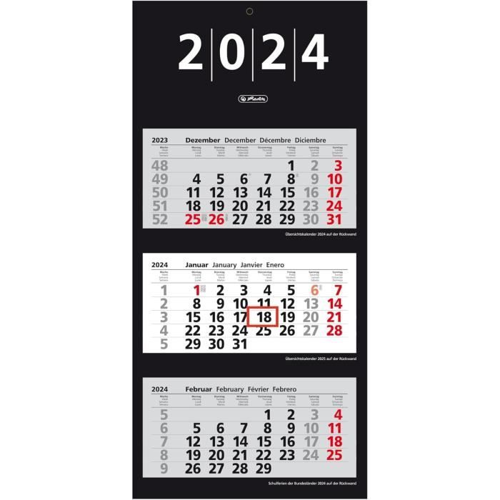 Calendrier Mural 4 Mois 2025 - 33x89.5cm Avec Curseur Date - Multilingue (DE, EN, FR)