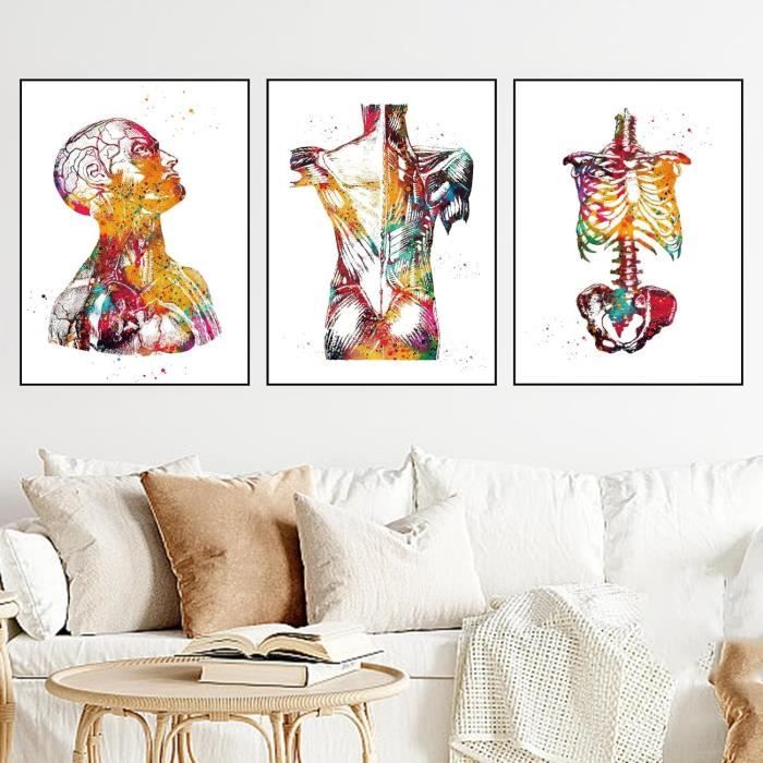 Poster Anatomie Médicale Cœur Fleurs - Art Sans Cadre 30x40 Cm - Décoration Cabinet Médical, Hôpital, Clinique