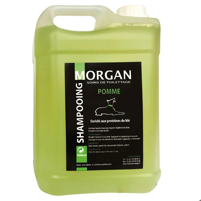 Shampoing protéiné Pomme Morgan : 5 litres - MORGAN Shampoing protéiné Pomme Morgan : 5 litres - MORGAN
