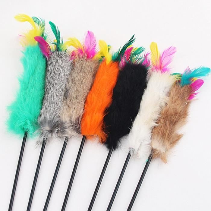 Random Color Jouet Chat Plume Interactif Plumeau Jouet En Plastique Avec Poils Et Plumes Pour Chat Chaton Jouer 55cm Couleur Achat Vente Jouet Random Color Jouet Chat Cdiscount Random Color Jouet Chat Plume Interactif Plumeau Jouet En Plastique Avec Poils Et Plumes Pour Chat Chaton Jouer 55cm Couleur Achat Vente Jouet Random Color Jouet Chat Cdiscount