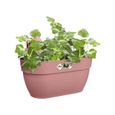 ELHO - Pot de fleurs -  Vibia Campana Easy Hanger Medium - Rose Poussière - Balcon extérieur - L 24.1 x W 36 x H 26.5 cm-2