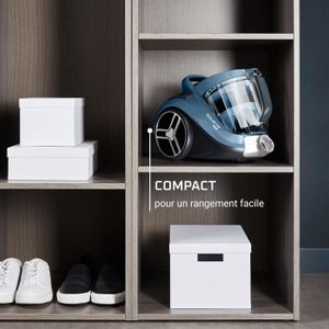 Rowenta Ro7b11ea Aspirateur Balai Cyclonique Sans Sac à Prix