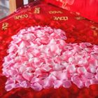 FREEBIZ 1200pcs Pétales de Rose Artificielle en Soie Artificiels Fleurs Décoration Romantique pour Mariage Rouge + rose clair