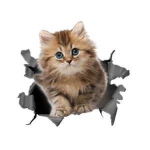 Livret d'autocollants Drôles de chats — Griffon