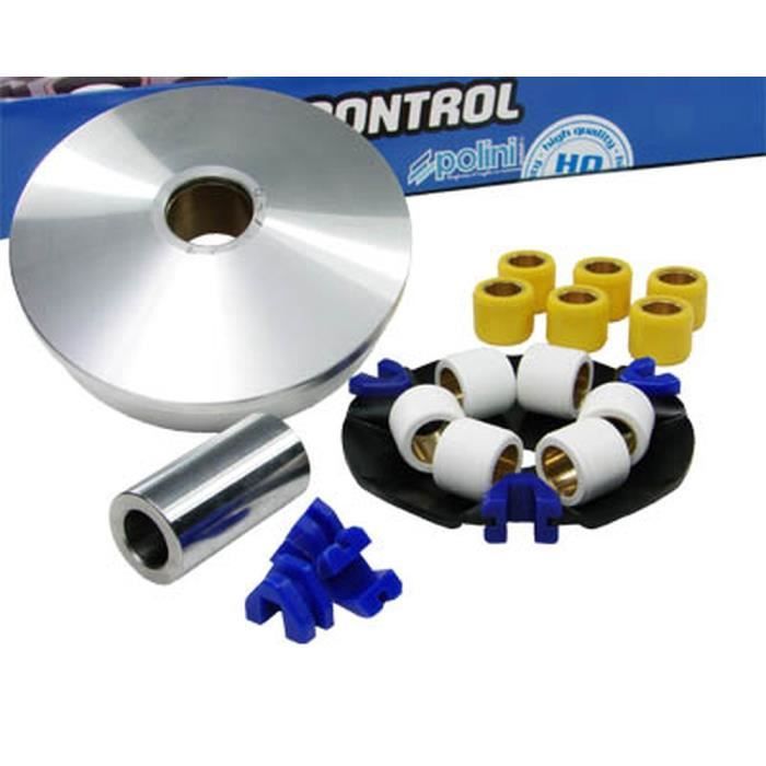 Variateur POLINI Speed Control pour TGB Delivery 50cc, F409, Hook, Laser, Meteorit, R50X, Sky 1, 2, Scooter
