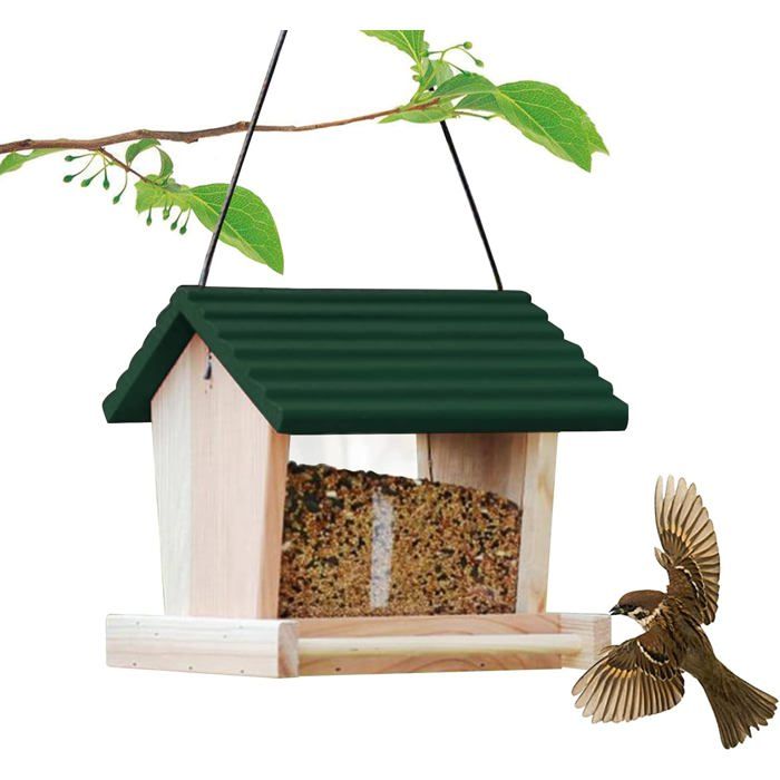 Mangeoire Oiseaux Bois Suspendue Verre Trou Drainage Fenêtre Transparente Jardin Sauvage Vert