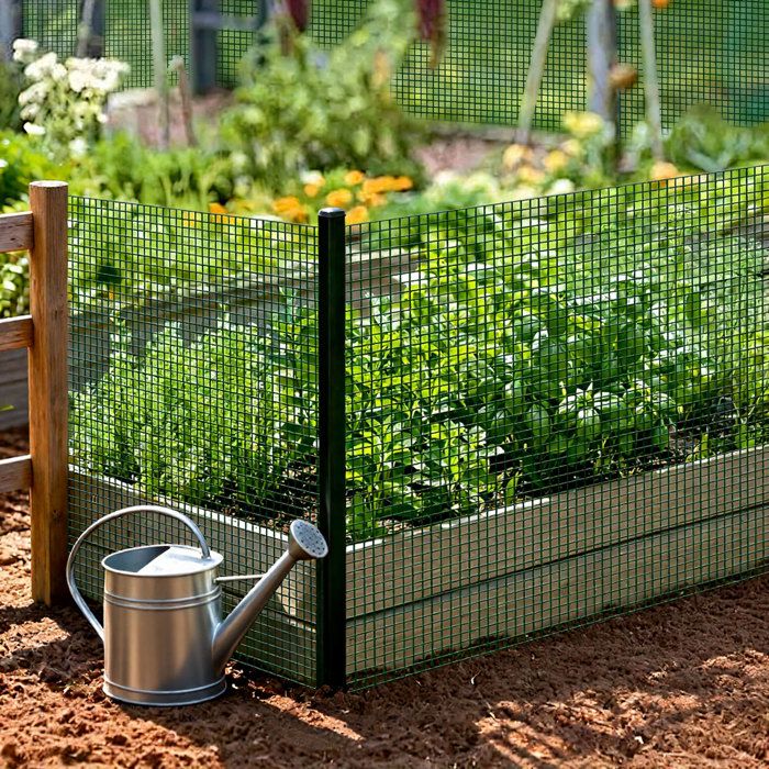 Grillage métallique - Grillage métallique plastifié vert foncé - Hauteur 1 m - Longueur 25 m - Maille 12x12 mm