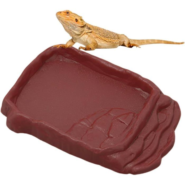 2 Gobelets Bacs à Nourriture et à Eau en Pierre Simulée pour Tortues Reptiles Terrariums et Vivariums Marron 2 cm