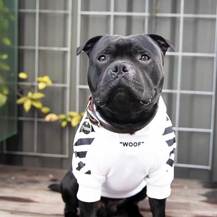 Vetement pour bouledogue francais best sale