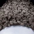 Tapis poil long Shaggy pour le salon tapis motifs avec un design en bordure Couleur: Taupe Taille: 100 x 200 cm-1