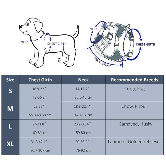 Harnais Réfléchissant Pour Chien - Anti-traction, Réglable Et Rembourré, Taille XXL (Tour De Poitrine 84-108cm) - 5