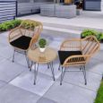 Salon de Jardin Design rotin, avec 1 Table 2 Fauteuils en Résine, pour Un Usage en intérieur et extérieur-0